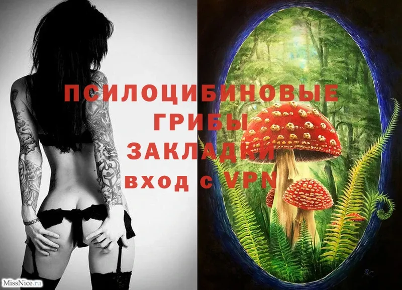 Галлюциногенные грибы Cubensis  Серпухов 